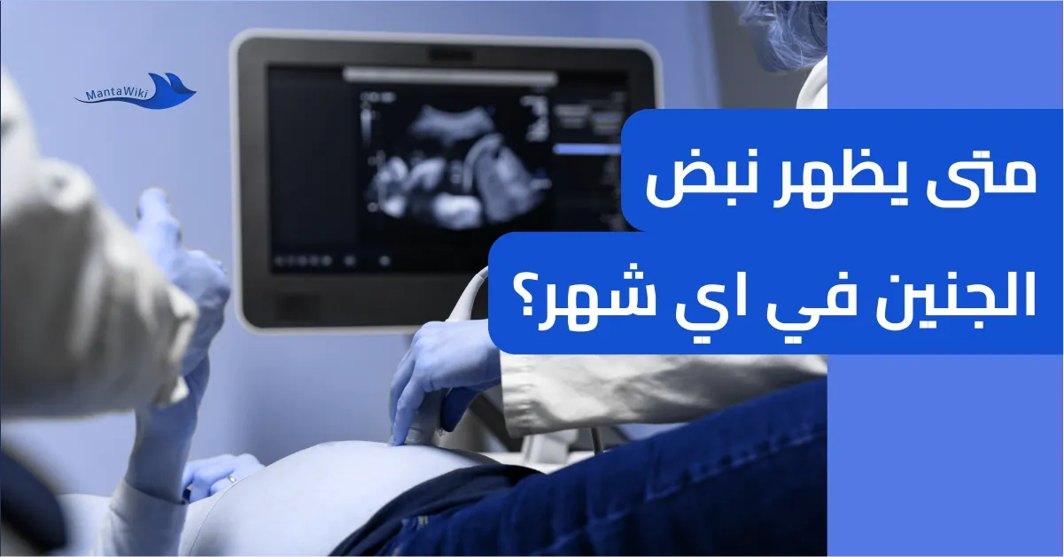 متى يظهر نبض الجنين في اي شهر؟