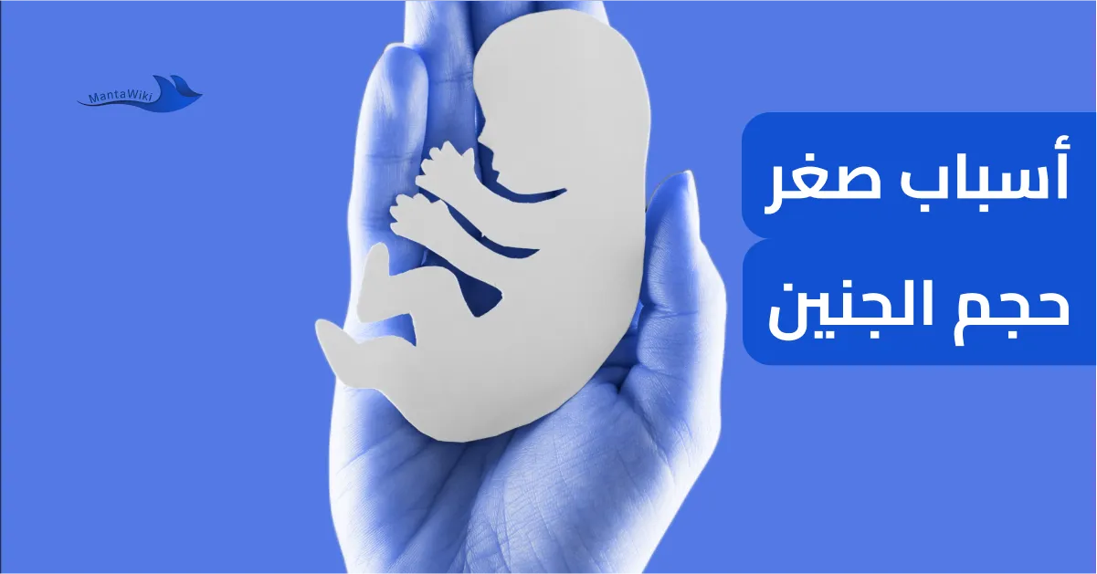 أسباب صغر حجم الجنين