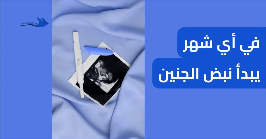 في أي شهر يبدأ نبض الجنين
