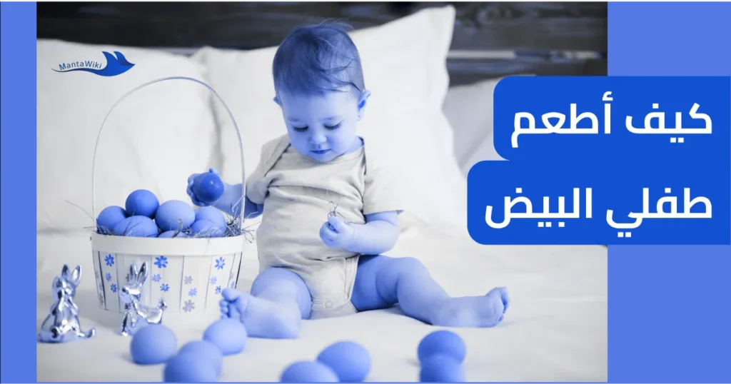 كيف أطعم طفلي البيض