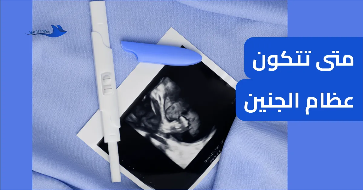 متى تتكون عظام الجنين
