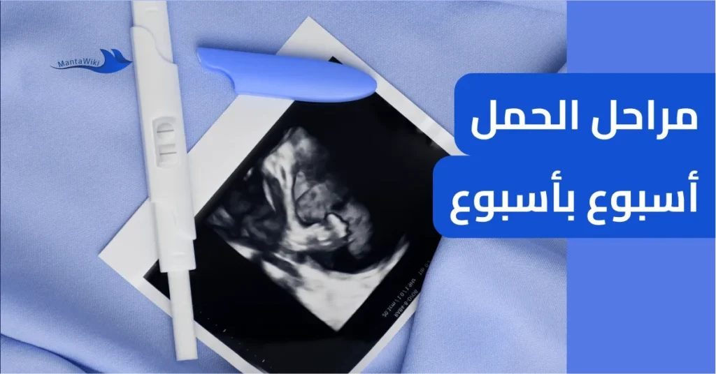 مراحل الحمل أسبوع بأسبوع